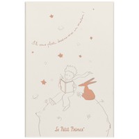 Набор Moleskine Le Petit Prince (Блокнот средний Линейка + Блокнот средний Недатированный) BUNDUNDPP0412MWH