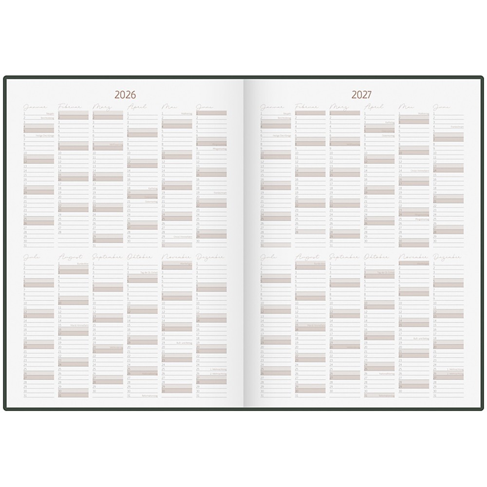 Ежедневник Brunnen Euro 10 лет 70-22 404 014