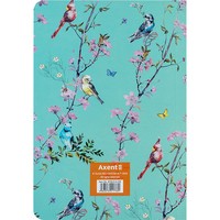 Книга записная Axent Spring A5 8700-9-A-OS