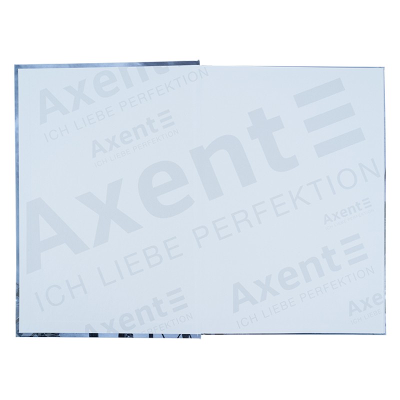 Книга записная Axent Glory 8422-566-A, А4, 96 листов, клетка