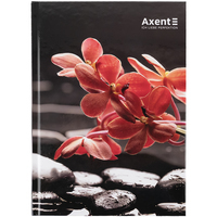 Фото Книга записная Axent R and B Flower 8457-7-A, А5, 96 листов, клетка, твердая обложка