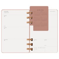 Фото Еженедельник Moleskine 2026 Spiral средний Миндальный 8056999276485