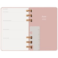 Фото Еженедельник Moleskine 2026 Spiral средний Миндальный 8056999276485